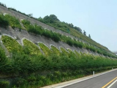 生態(tài)護(hù)坡