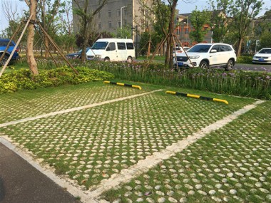 高承載植草地坪