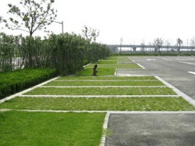 高承載植草地坪