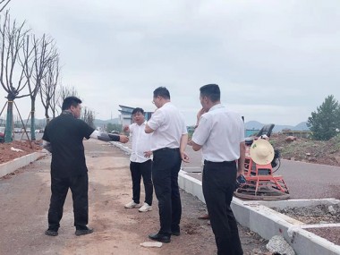 道路案例