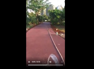 彩色透水混泥土視頻
