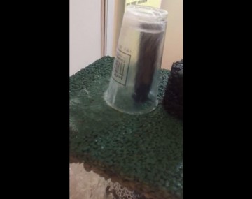 彩色透水混泥土視頻