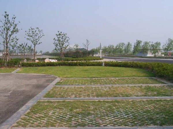 高承載植草地坪